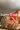2_8312_01JY6R3FMMCN8FMAQNFHNVC3CA.webp