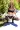 2_8341_01JY795G7TWT7A49DGW2AETH54.webp