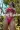 2_8489_01JY9QCK1S2P97KNP1VF1HVW61.webp