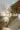 2_8502_01JY9W674X7A0E43DDQY43SV6N.webp