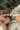 2_8614_01JYBWY65TV7BM4EYNR1R560VK.webp