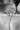 2_8669_01JYC6A4JQEDKF5S5HHG3HYBDC.webp