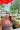 2_8690_01JYCFSEKF3DM0XWMCP550YJR2.webp