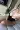 2_8696_01JYCJKGEQ6EN4J3GBG8N93B3T.webp