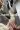 2_8707_01JYCPSKX1F4D23RVAQQ8ZAQ2N.webp