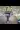 2_8777_01JYDWKJSNVDK5HXPGSYGGPDFC.webp