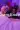 2_9001_01JYFTRM1JB0DHXGAGR1P6X3DY.webp