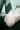 2_9135_01JYHPDQJZX5G69YX8KVQB6RBZ.webp