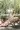 3_10029_01JZ2NPM1FWKV063Z7NFH8PTYG.webp