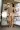 3_10139_01JZ47C4TJW4XSP5CMAWY271Q1.webp