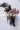 3_10159_01JZ5AJA5ZGYXGMD3G0A3WTNTS.webp