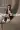 3_10287_01JZ8986E6B5HZGB5AY5GZ6F6K.webp