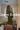 3_10314_01JZ8T22Q4F3M1VR6SCM9BGSMG.webp