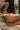 3_10393_01JZAPSY7KXX7G2D8NYYHPJ8S9.webp