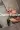 3_10430_01JZBC88135DA3KPCZYV5N08CB.webp