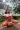 3_10482_01JZBZ53YE41P1EPT64DXTGTT3.webp