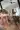 3_10848_01JZN54Y6S8K8GSN10TDWQECB1.webp