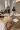 3_10863_01JZNAZG8217E6ABA4VVRCB6JG.webp