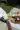 3_10931_01JZPBMAXAQTAT39ZH3F3T4YVM.webp