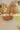 3_11147_01JZV2QVN25JQBXF0BPY1GJ4X5.webp