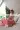 3_11157_01JZV6GYYMPG1CN6M4ZC22MXGR.webp