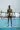 Escorte Boy gratuit uniquement pour les femmes - 2