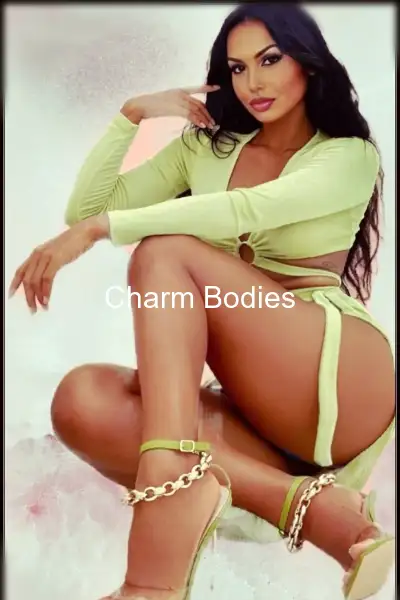 Lapine dominattice - 24