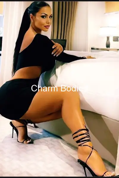 Lapine dominattice - 23