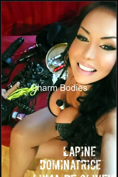 Lapine dominattice - 18