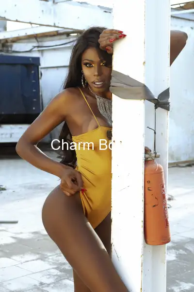 Trans Belle Black 22cm bien dur actif passif - 3