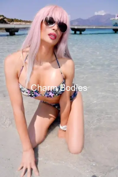 DELICE Francaise 24cm - 2