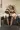 Erotiqueevasion - 4