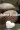 Les 3 grosses cochonnes - 9