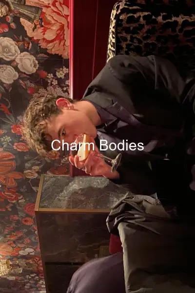 Timotheedilaurentis - 2