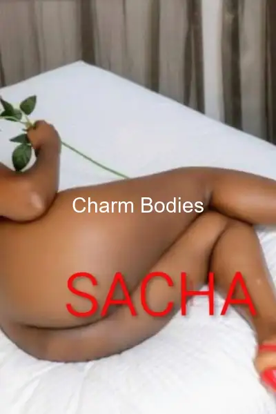 SACHA - 2