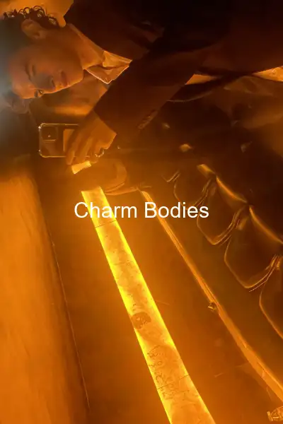 Timotheedilaurentis - 5