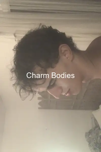 Timotheedilaurentis - 2